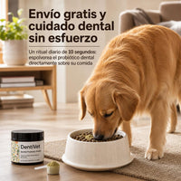Envío gratis y cuidado dental sin esfuerzo