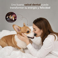 Una buena salud dental transforma la energía y felicidad de tu perro